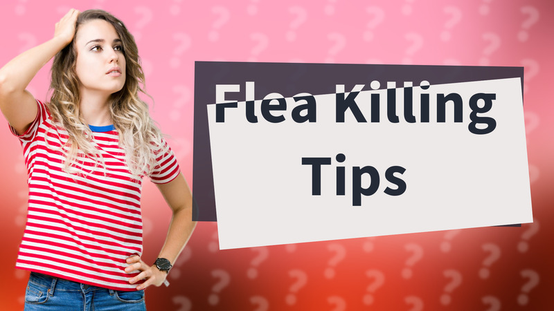 Flea Killing Tips