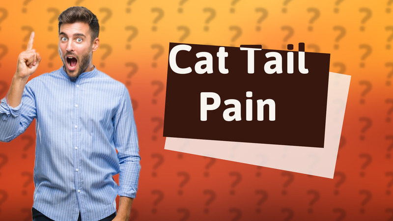 Cat Tail Pain