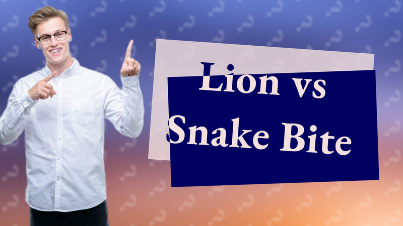 Lion vs Snake Bite