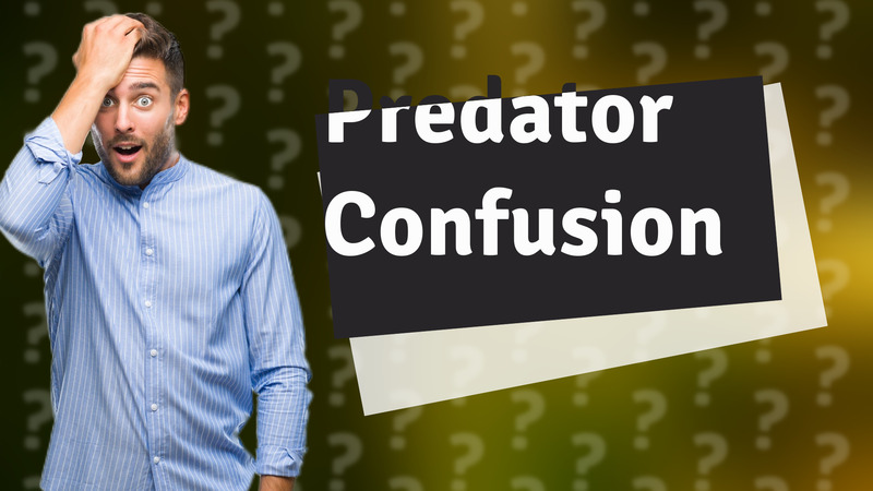 Predator Confusion