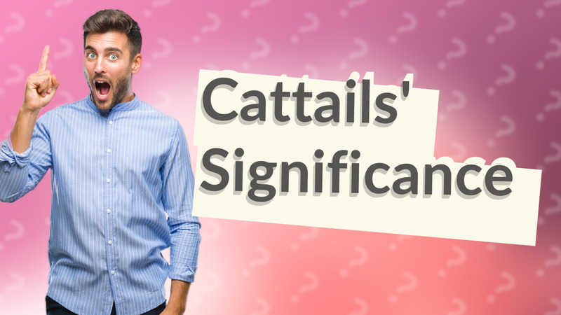 Cattails' Significance