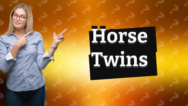 Horse Twins