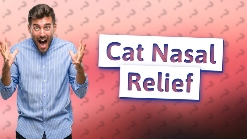 Cat Nasal Relief