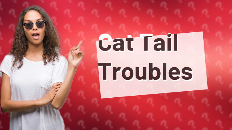 Cat Tail Troubles