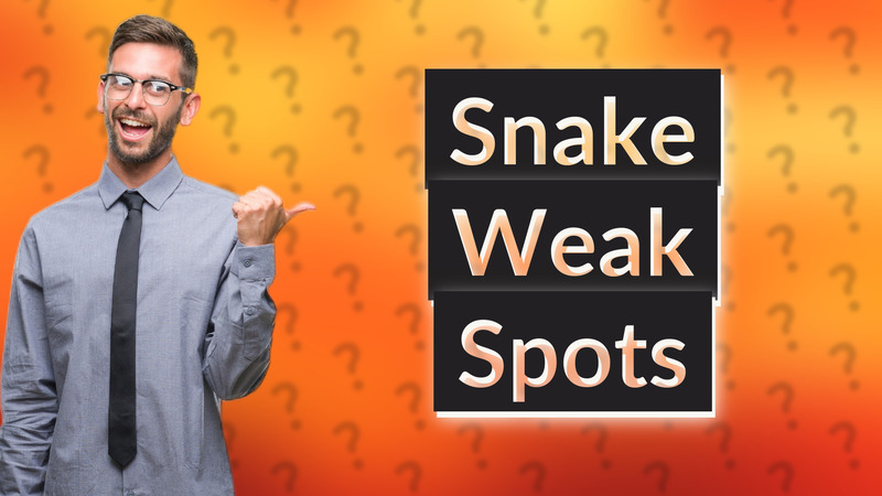 Snake Weak Spots