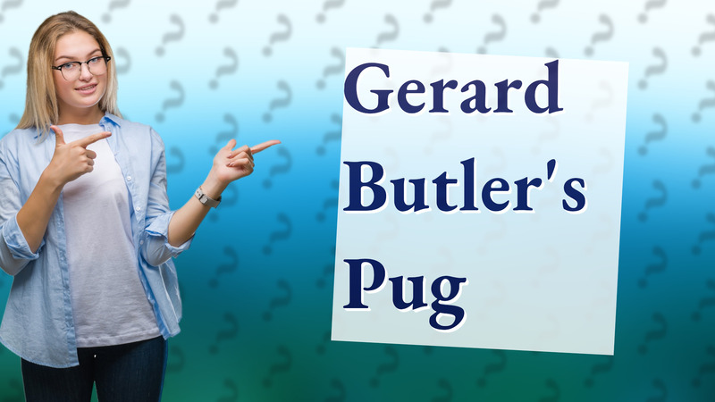 Gerard Butler's Pug