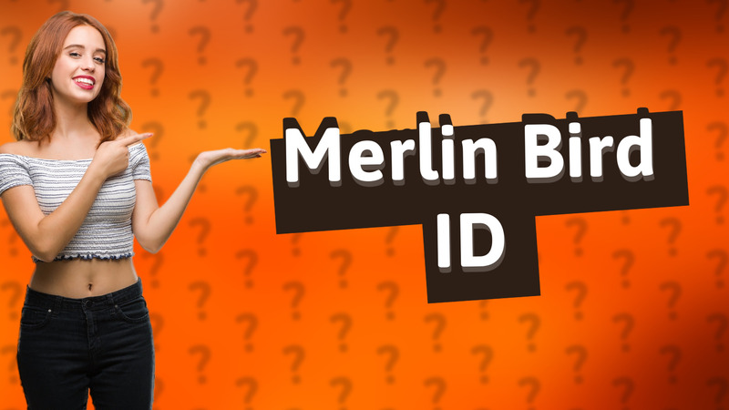 Merlin Bird ID