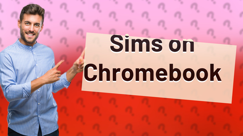 Sims on Chromebook