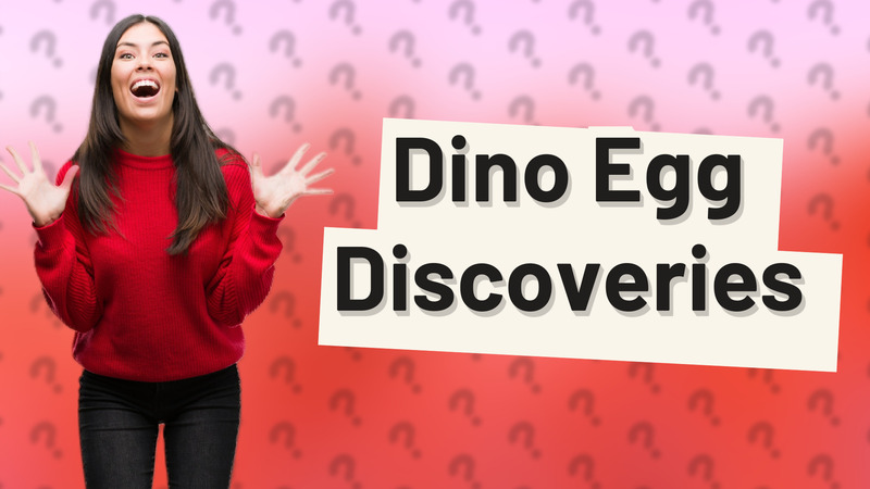Dino Egg Discoveries
