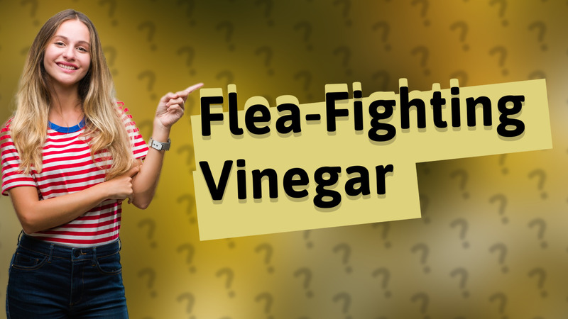 Flea-Fighting Vinegar