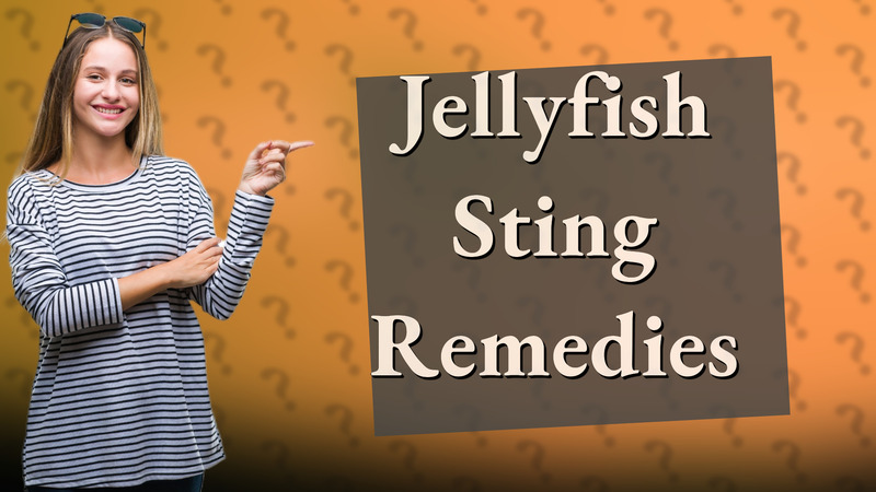 Jellyfish Sting Remedies