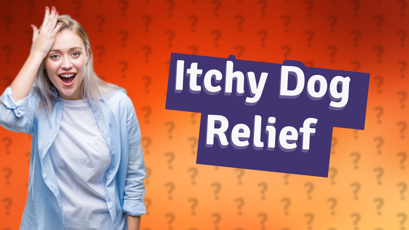 Itchy Dog Relief