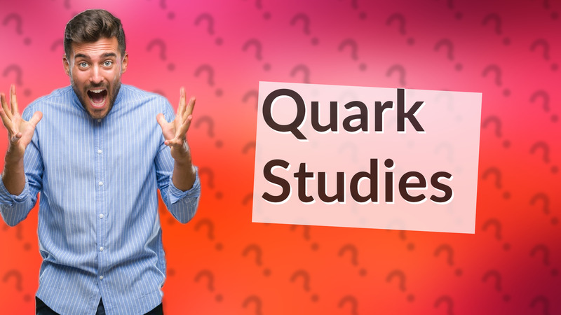 Quark Studies