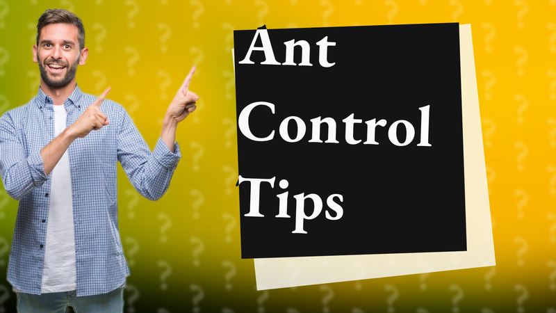 Ant Control Tips