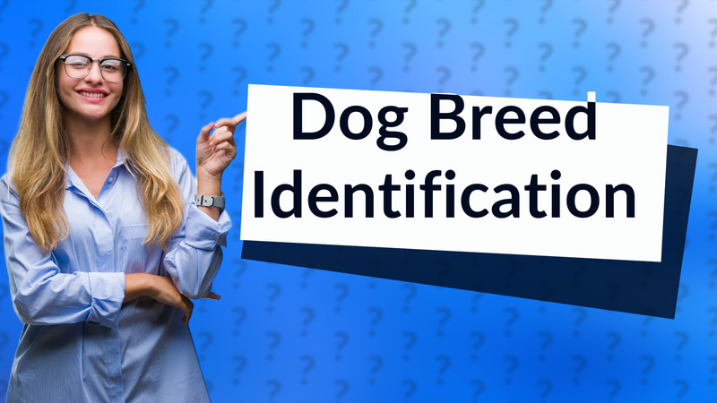 Dog Breed Identification