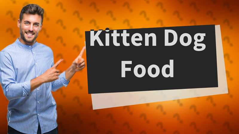 Kitten Dog Food