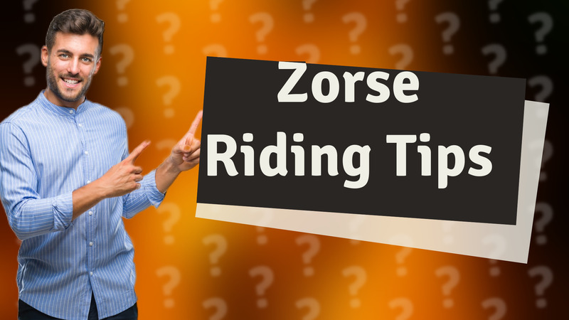 Zorse Riding Tips