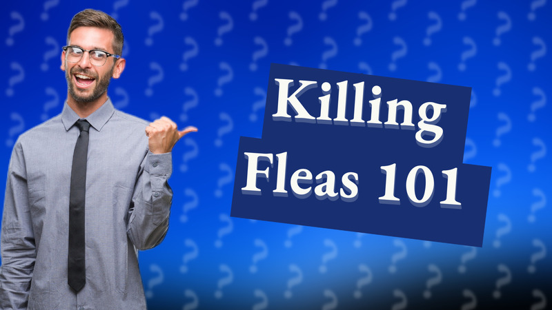 Killing Fleas 101