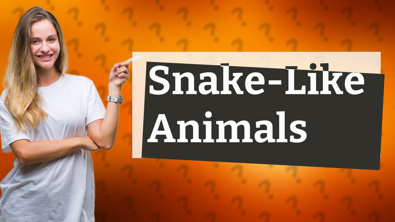 Snake-Like Animals