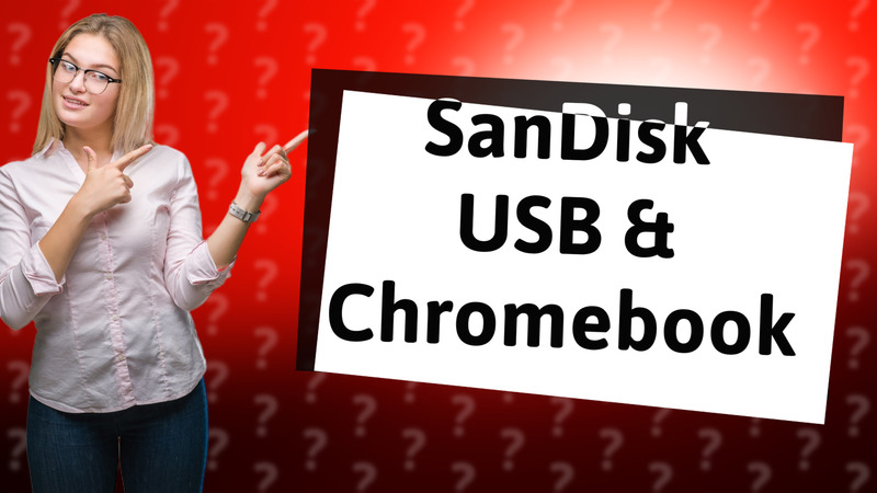 SanDisk USB & Chromebook