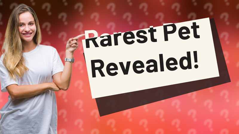 Rarest Pet Revealed!