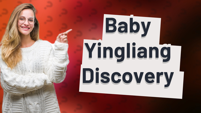 Baby Yingliang Discovery
