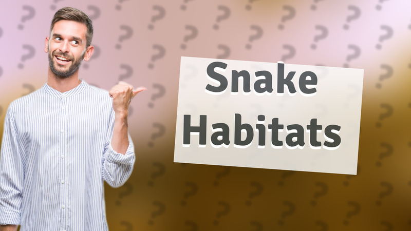 Snake Habitats