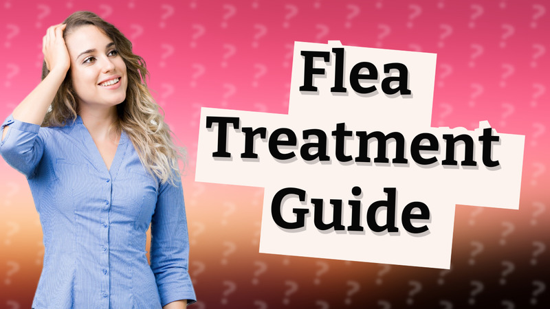 Flea Treatment Guide