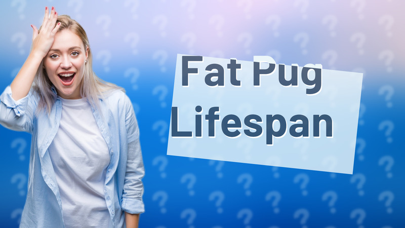 Fat Pug Lifespan