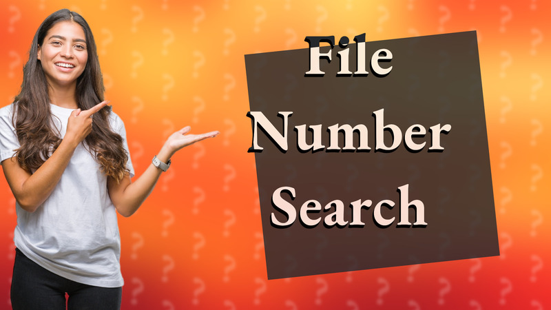 File Number Search