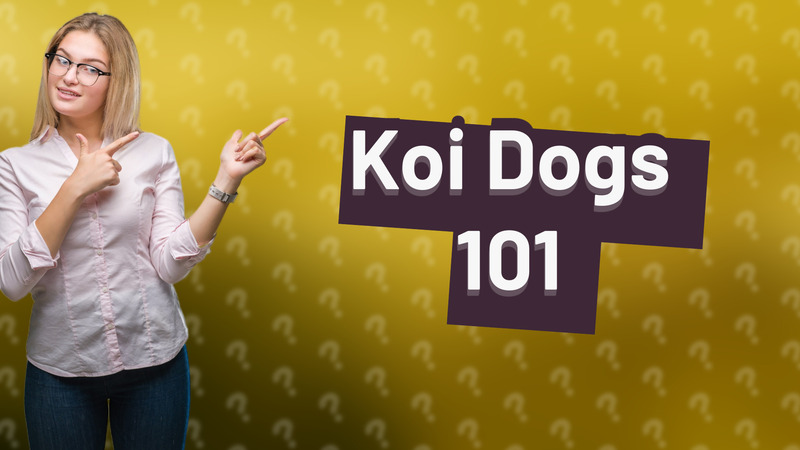 Koi Dogs 101