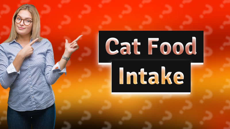 Cat Food Intake
