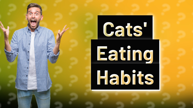 Cats' Eating Habits