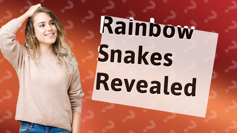 Rainbow Snakes Revealed