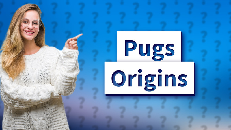 Pugs Origins