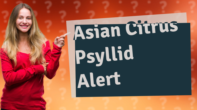 Asian Citrus Psyllid Alert
