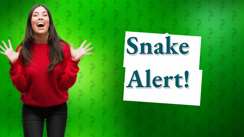 Snake Alert!