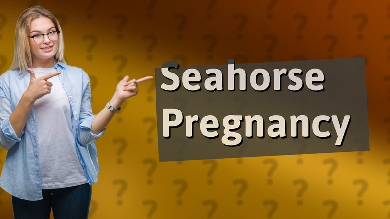 Seahorse Pregnancy