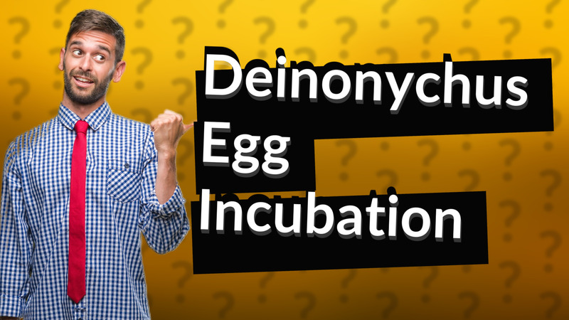 Deinonychus Egg Incubation