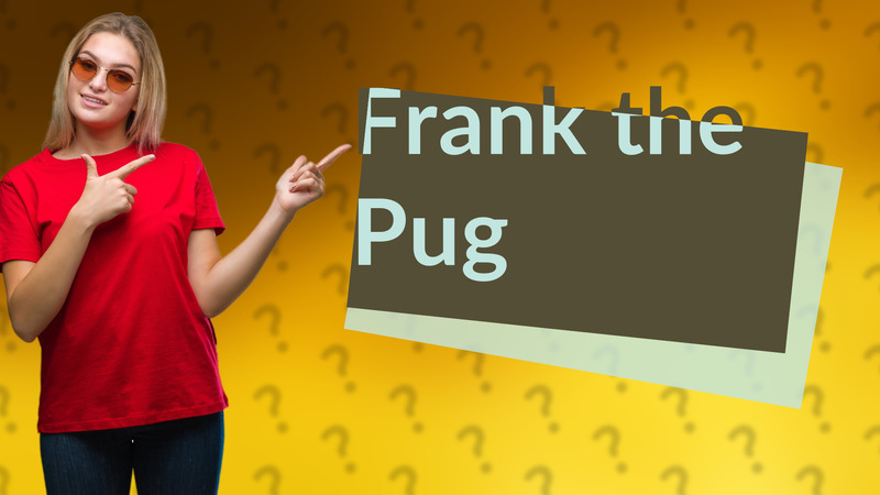 Frank the Pug