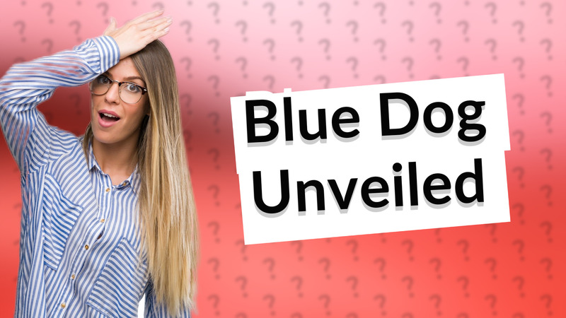 Blue Dog Unveiled