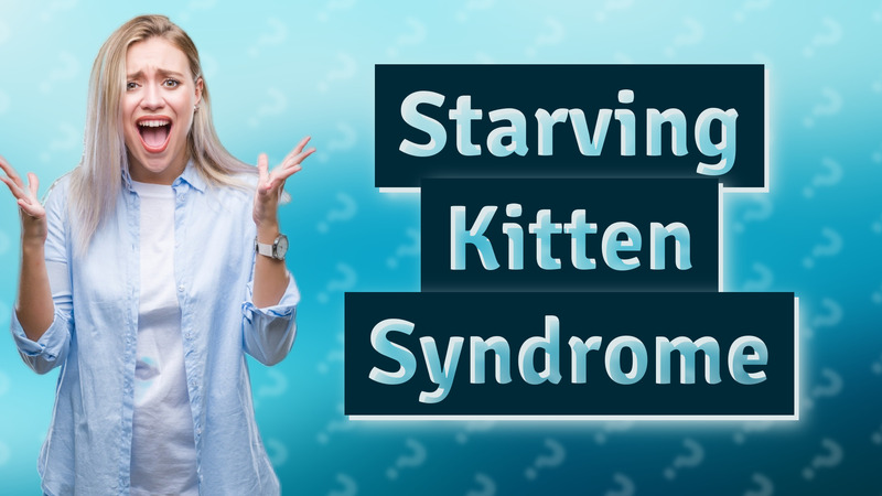 Starving Kitten Syndrome