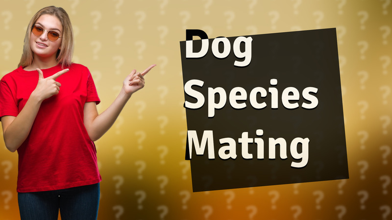 Dog Species Mating