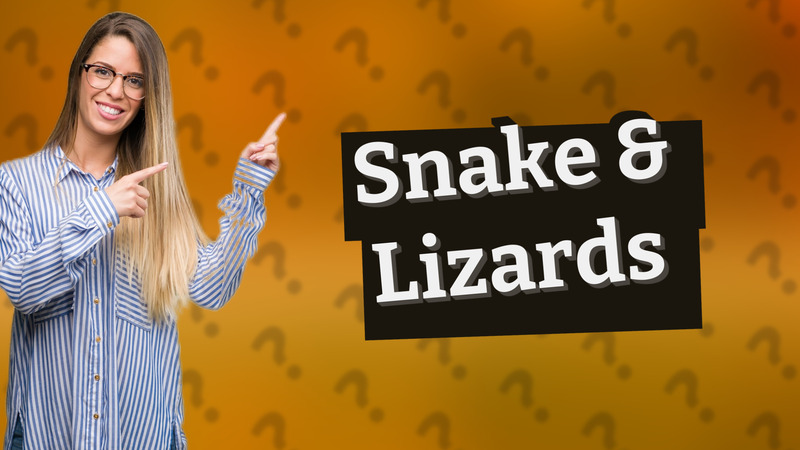 Snake & Lizards