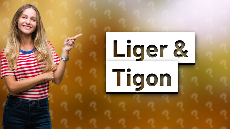 Liger & Tigon