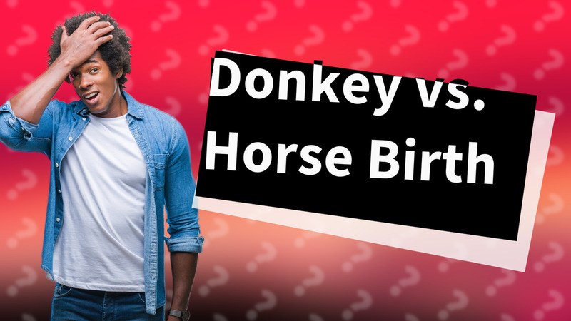 Donkey vs. Horse Birth