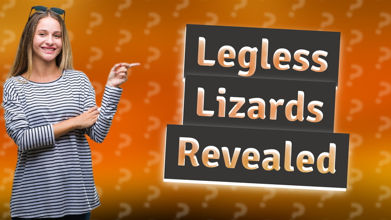 Legless Lizards Revealed