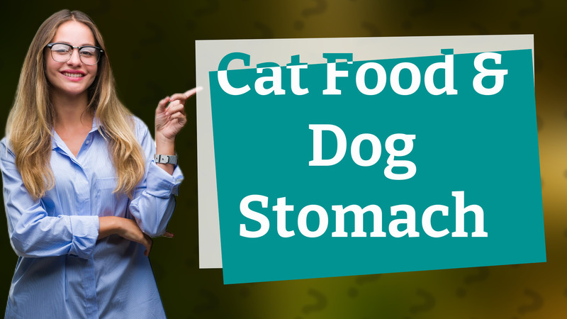 Cat Food & Dog Stomach
