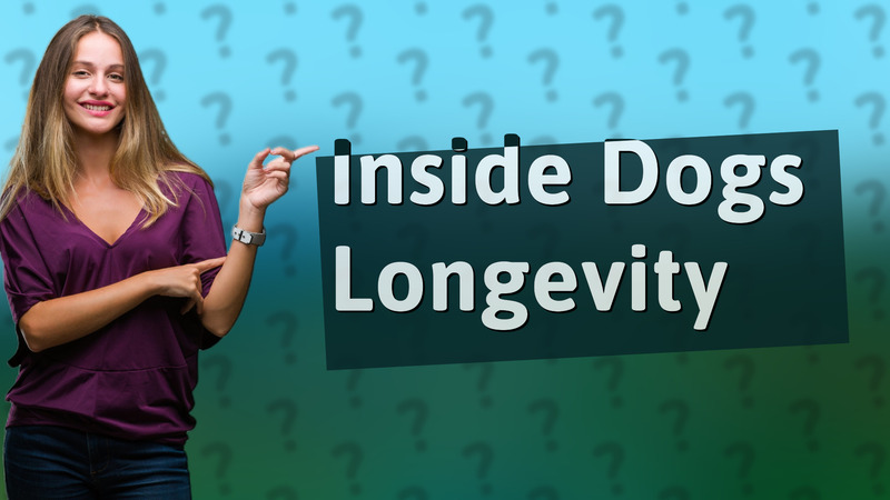Inside Dogs Longevity