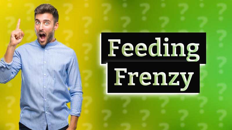 Feeding Frenzy